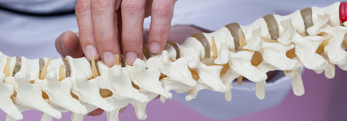 Chiropractic Rosmalen GN Spinal Decompression Chiropractic Rosmalen GN Spinal Decompression